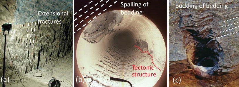 Fig. 3