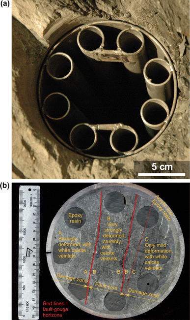 Fig. 3