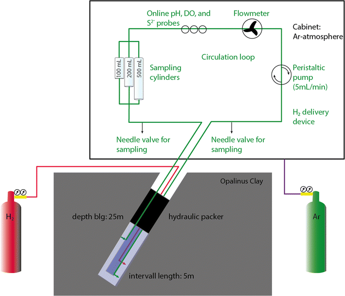 Fig. 1