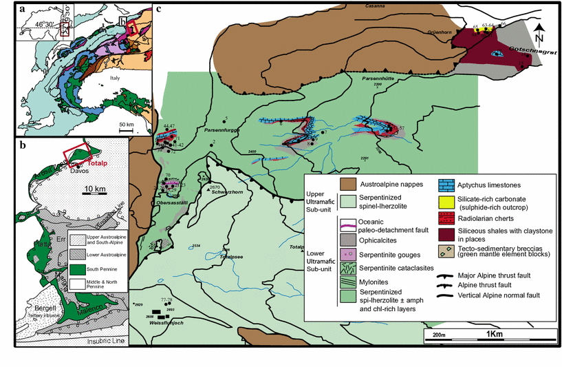 Fig. 1