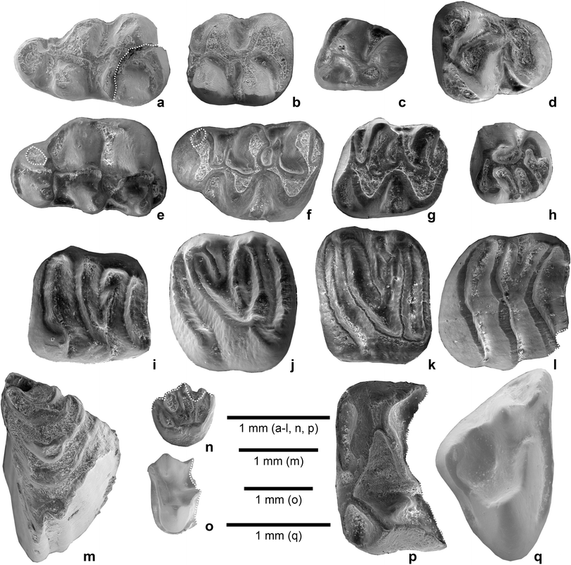 Fig. 4