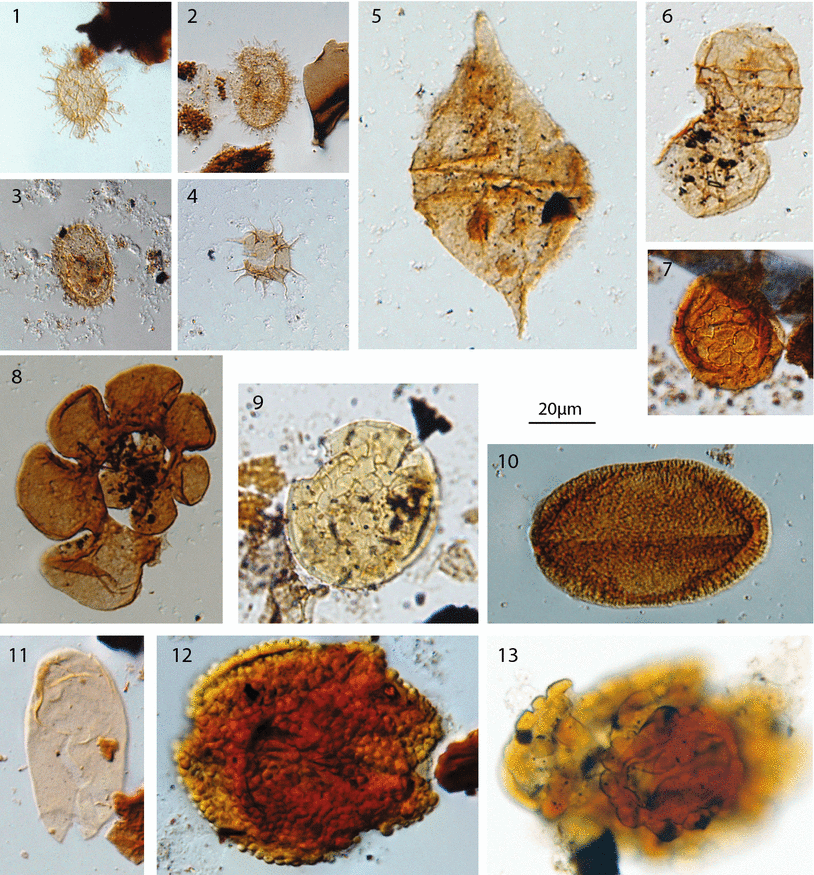 Fig. 2