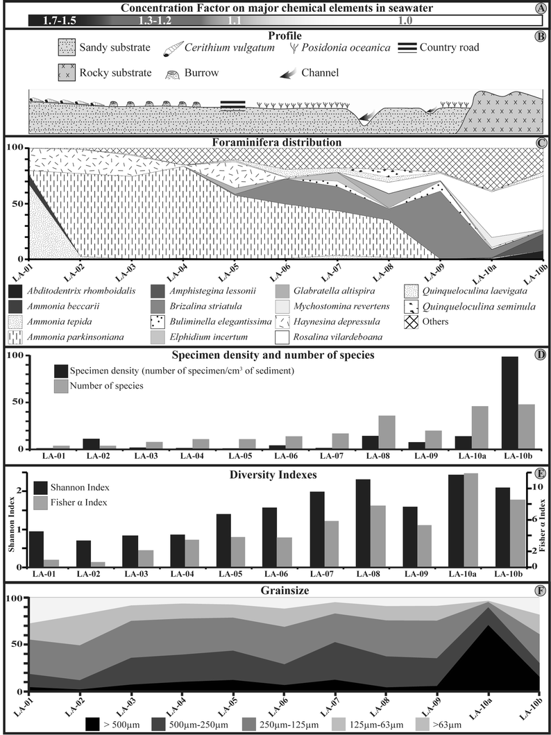 Fig. 3