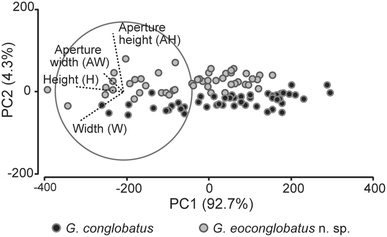 Fig. 7