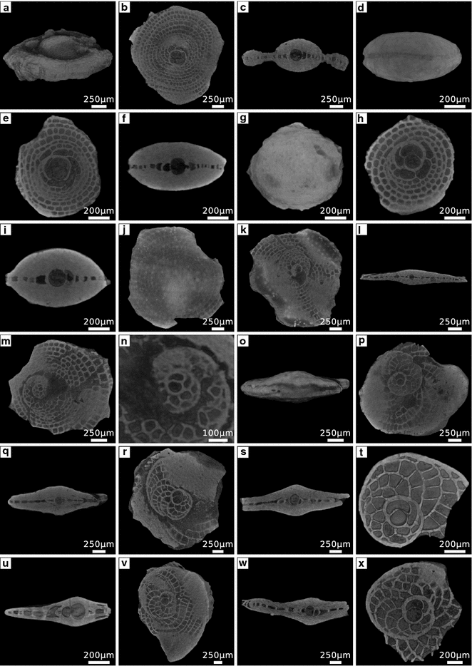 Fig. 5