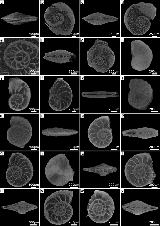 Fig. 6