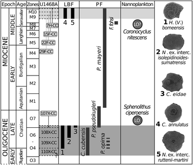 Fig. 8