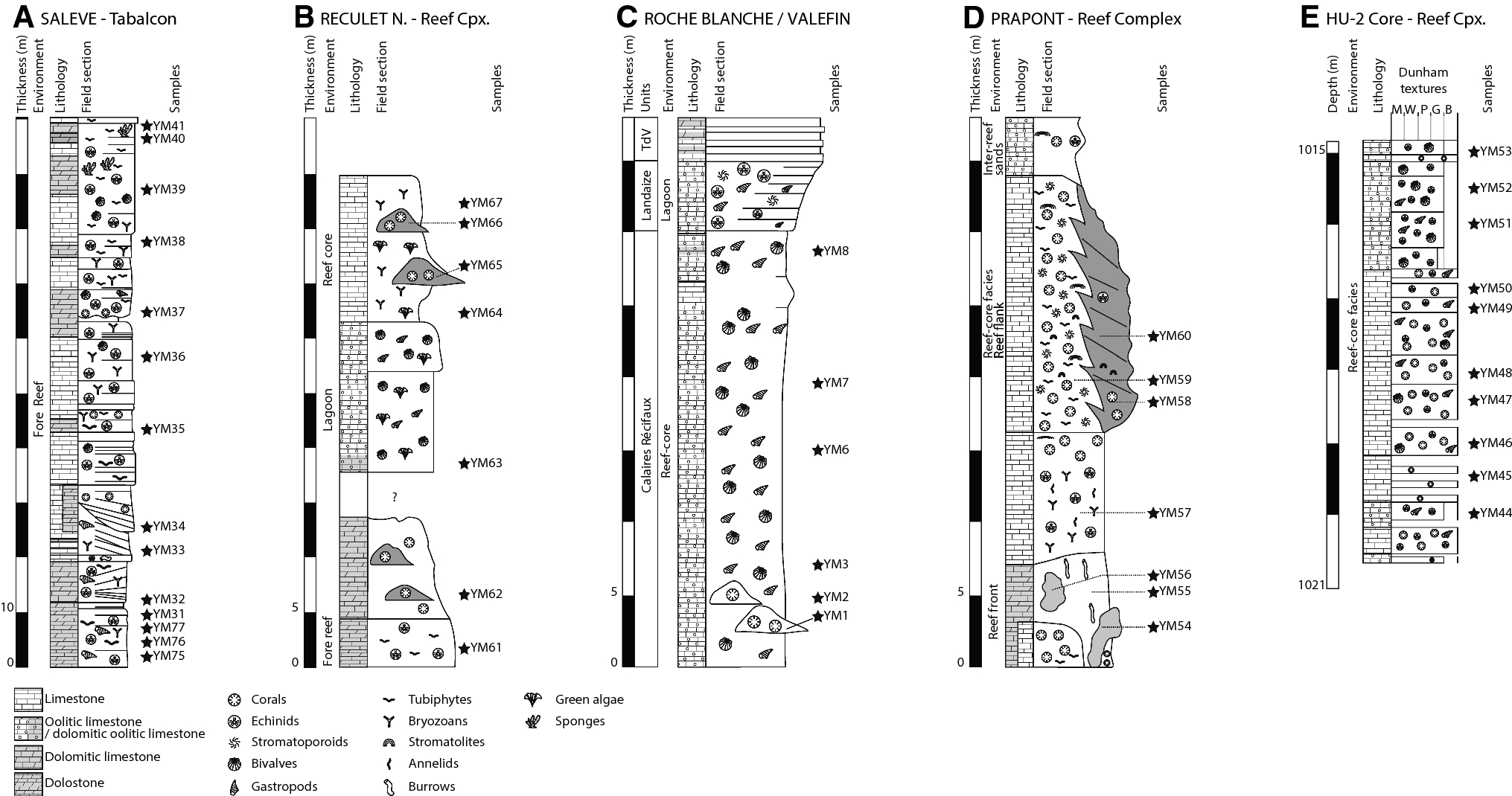 Fig. 2