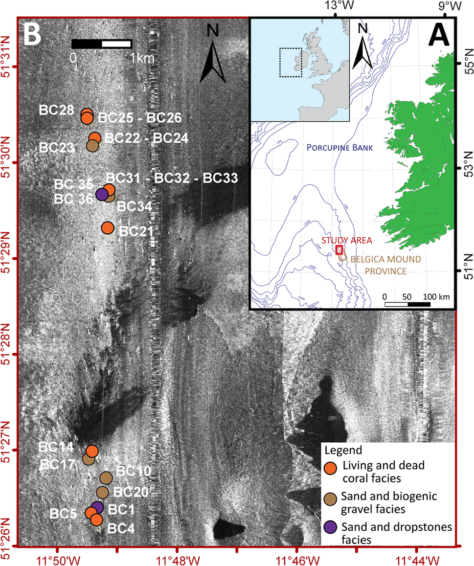 Fig. 1