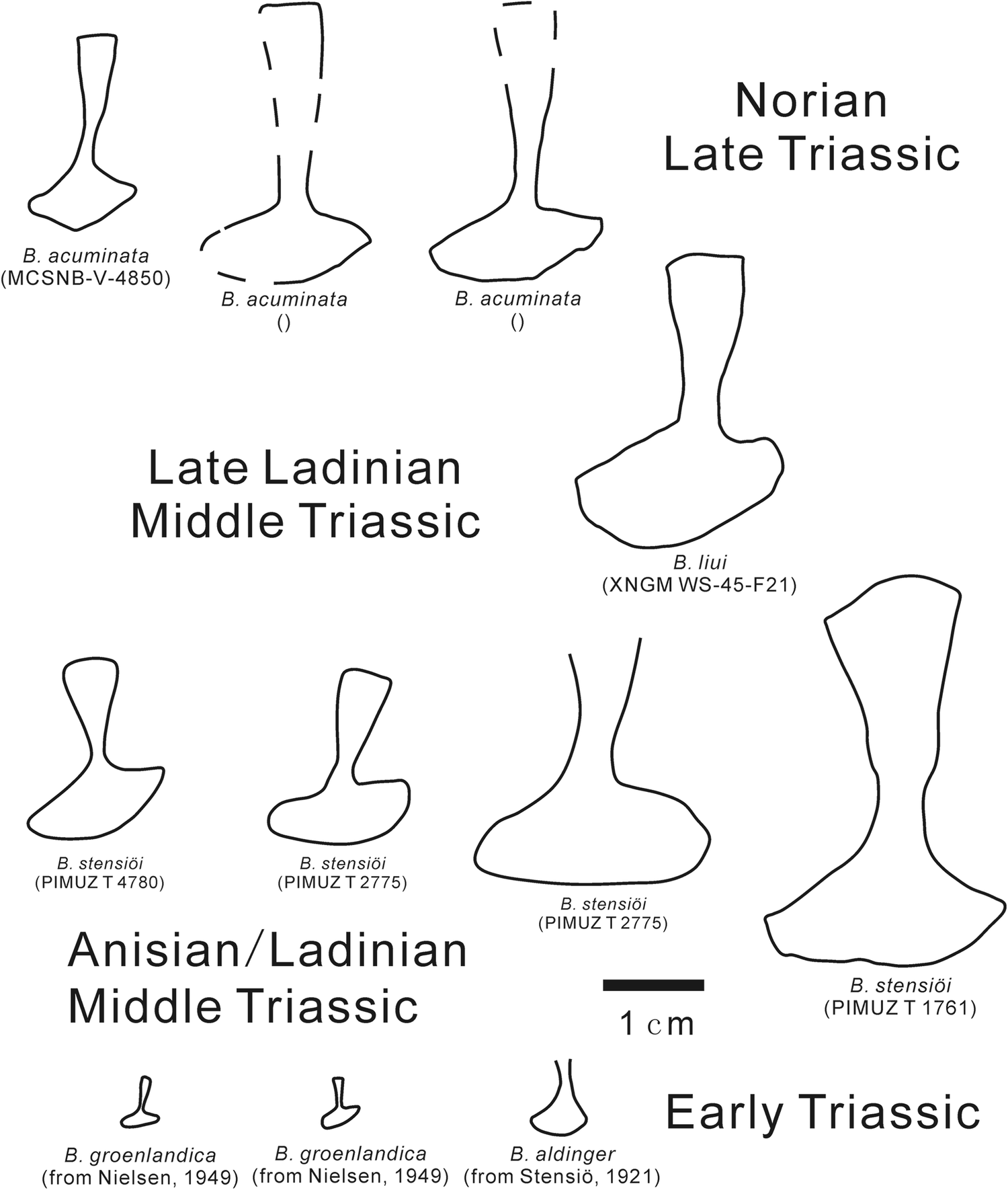 Fig. 14