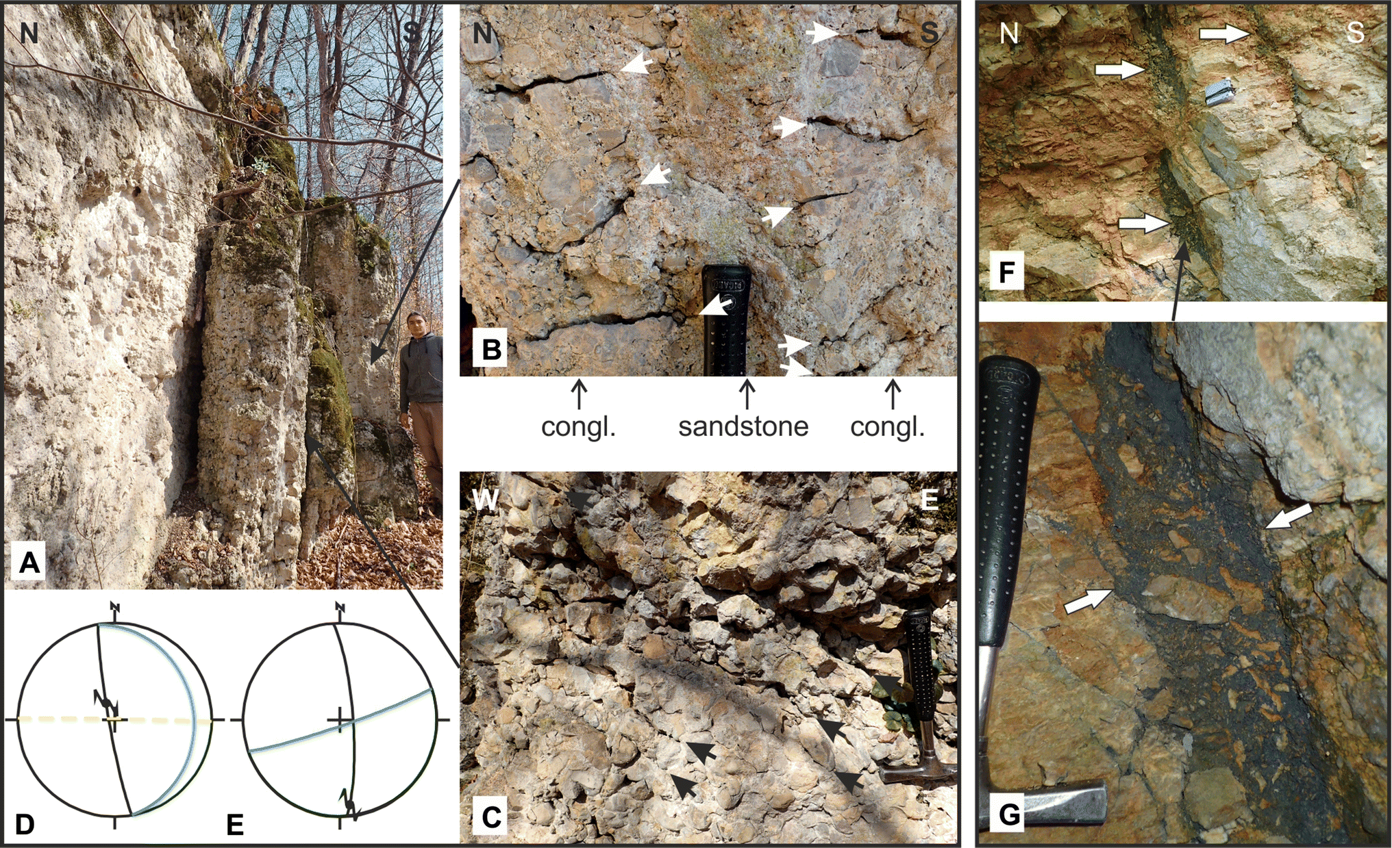 Fig. 9