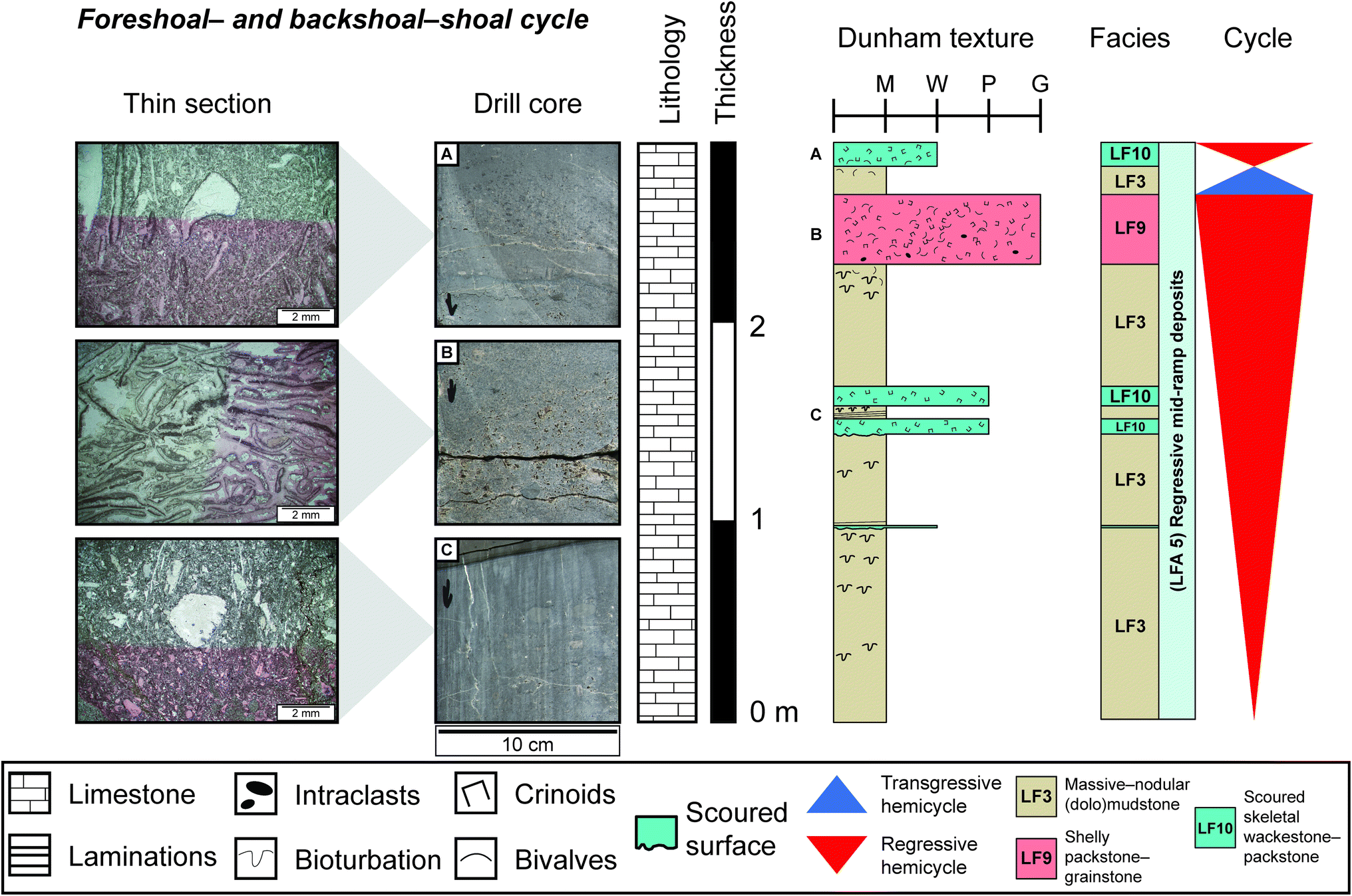 Fig. 12