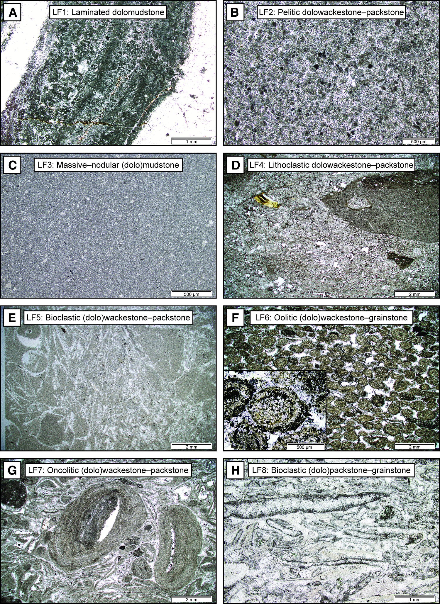 Fig. 6