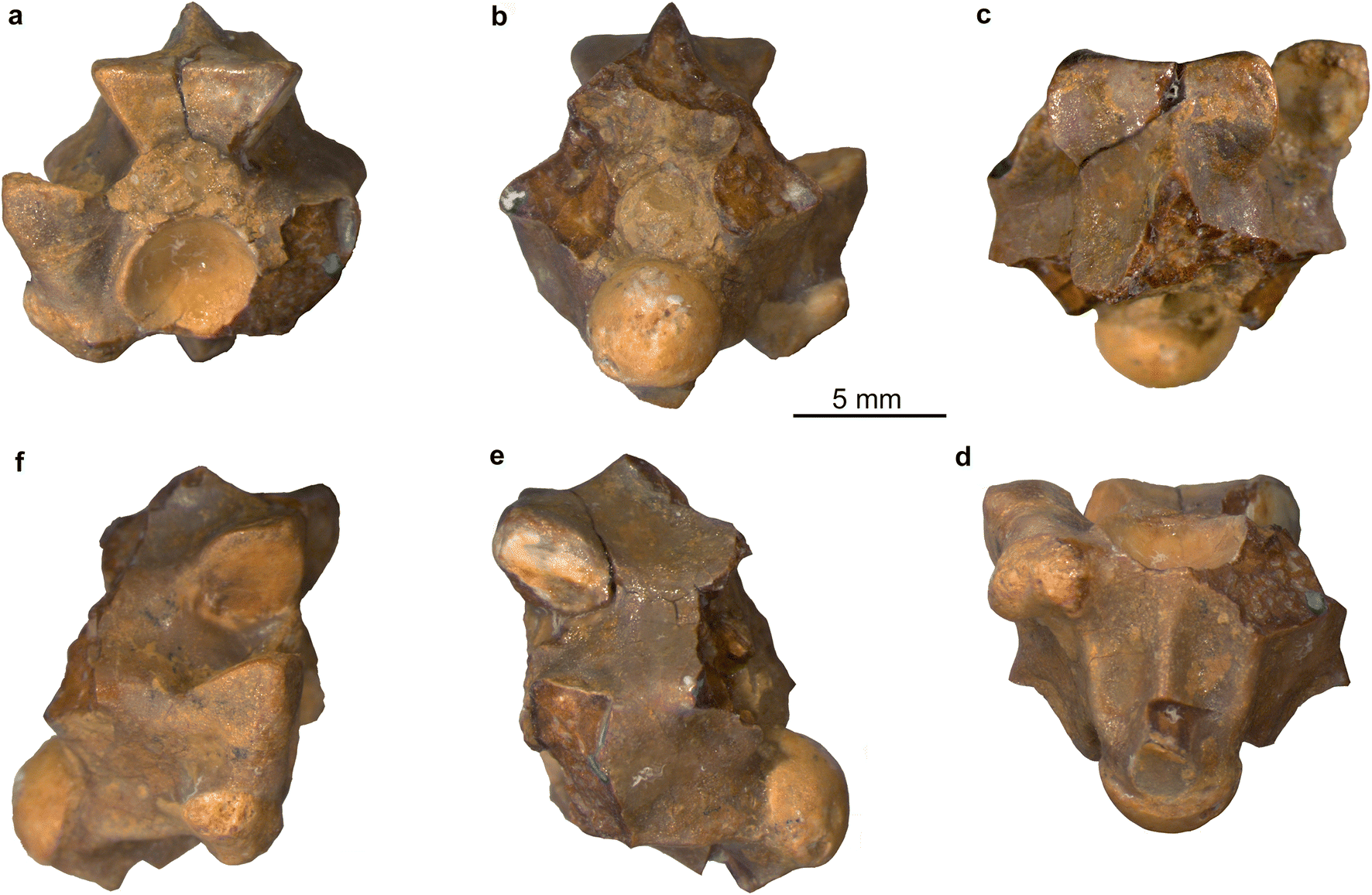 Fig. 13