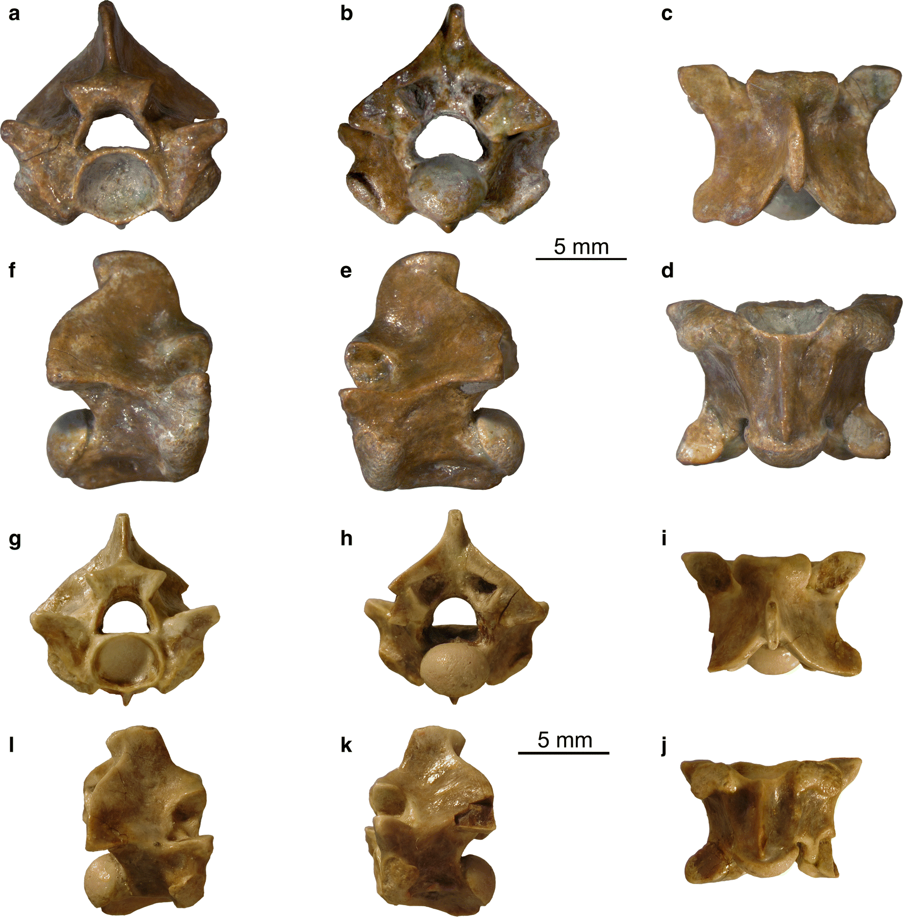 Fig. 8