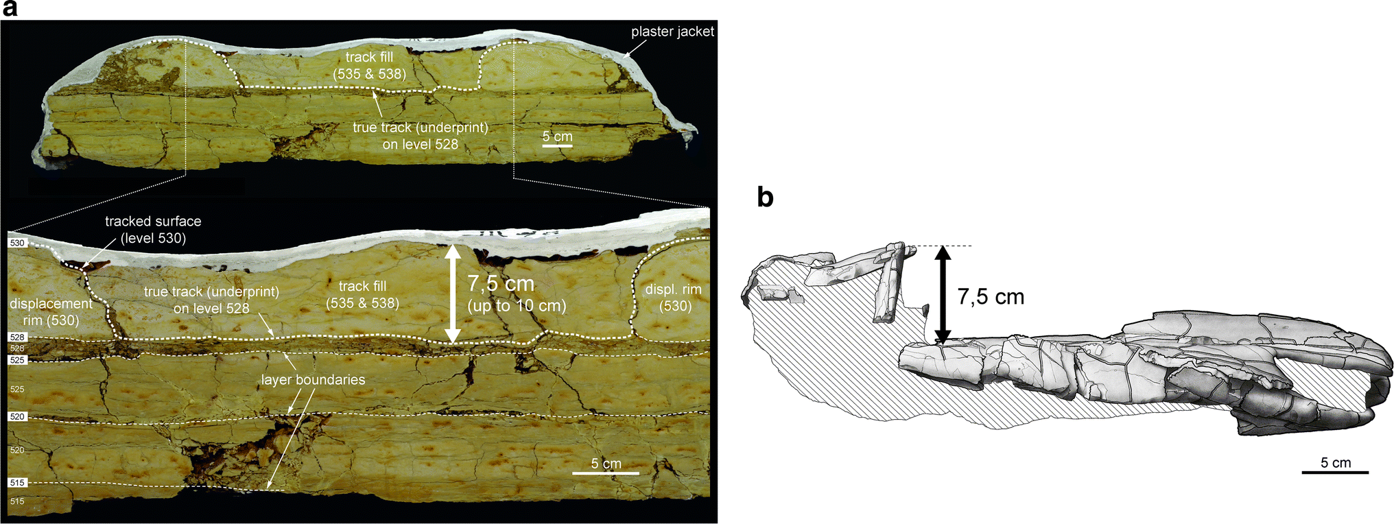 Fig. 4