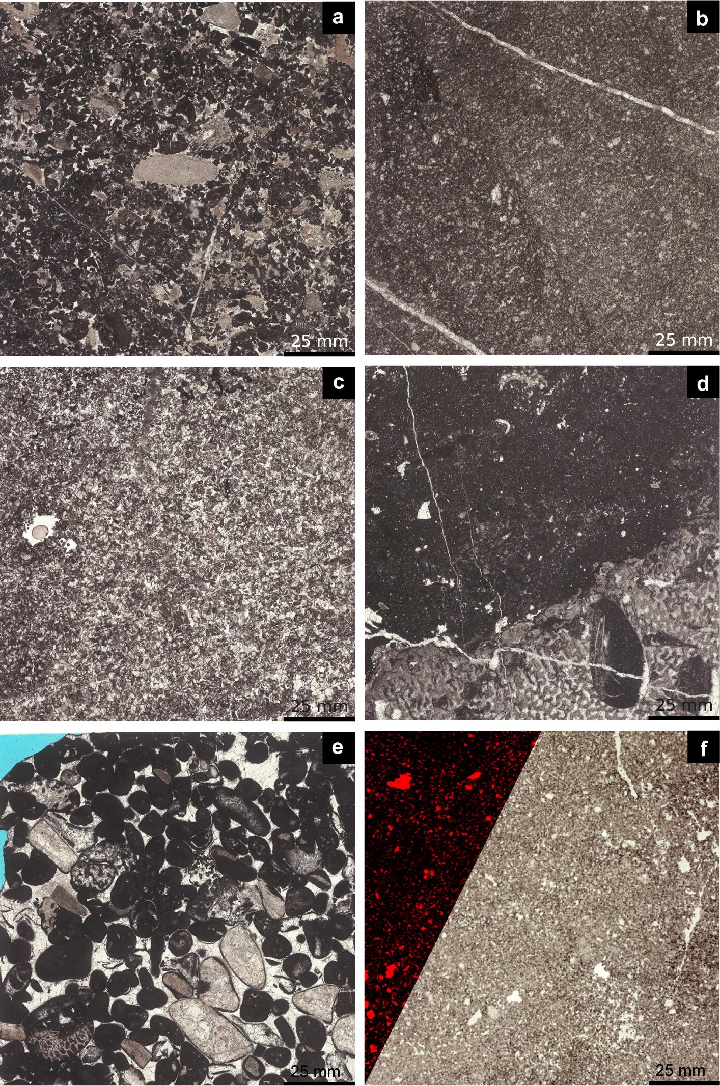 Fig. 2