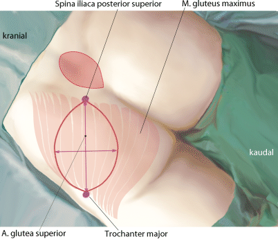 Segredos para 19 de janeiro dia da cunhada  - Mesmo nesta economia em baixa
