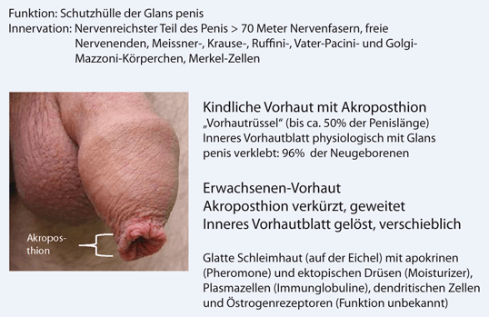 Unbeschnitten oder beschnitten.