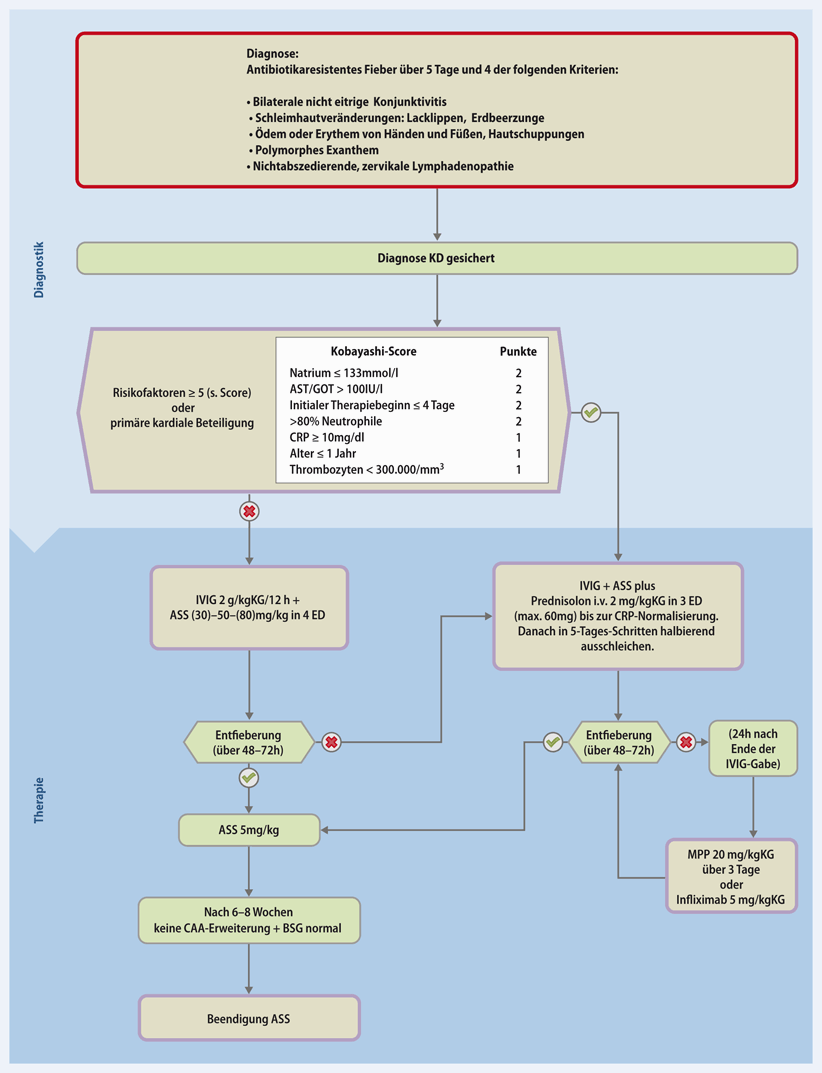 Figure 1 | Erratum zu: Handlungsempfehlung nach der Leitlinie „Vaskulitiden  – Kawasaki-Syndrom“ | SpringerLink