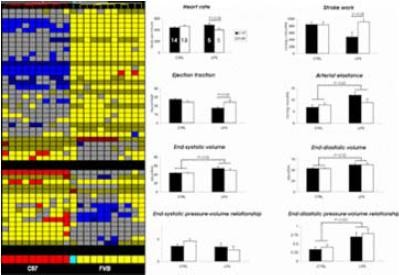 PDF) Therapeutical Options for Congenital FVII Deficiency — The HK 7  Project of the International Greifswald Registry of the Congenital FVII  Deficiency (GR-HK-7)