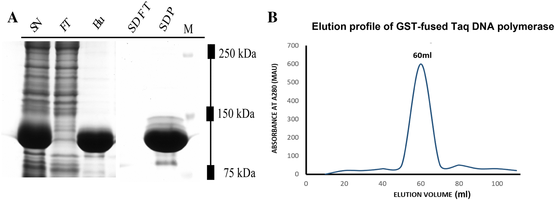 Figure 4 A Novel Approach For High Level Expression And Purification Of Gst Fused Highly Thermostable Taq Dna Polymerase In Escherichia Coli Springerlink Figure 4 A Novel Approach For High Level Expression And Purification Of Gst Fused Highly Thermostable Taq Dna Polymerase In Escherichia Coli Springerlink