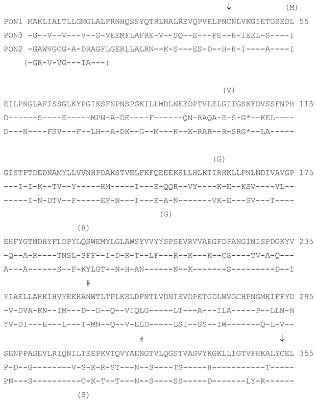 Figure 4 Pharmacogenetics Of Paraoxonases A Brief Review Springerlink