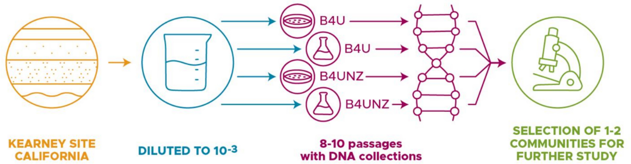 土壌微生物群集が炭酸カルシウム生成を増強する仕組みを解明（Community Dynamics Drive Calcium Carbonate Production in an Enriched Consortium of Soil Microbes）