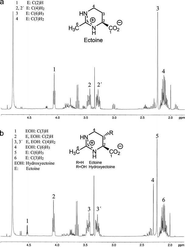 Figure 1 A Process For The Production Of Ectoine And Poly 3 Hydroxybutyrate By Halomonas Boliviensis Springerlink