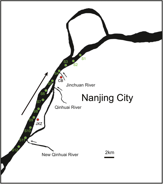 Fig. 1