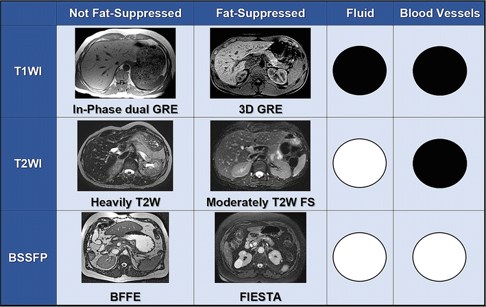 Blood mri t1 weighted