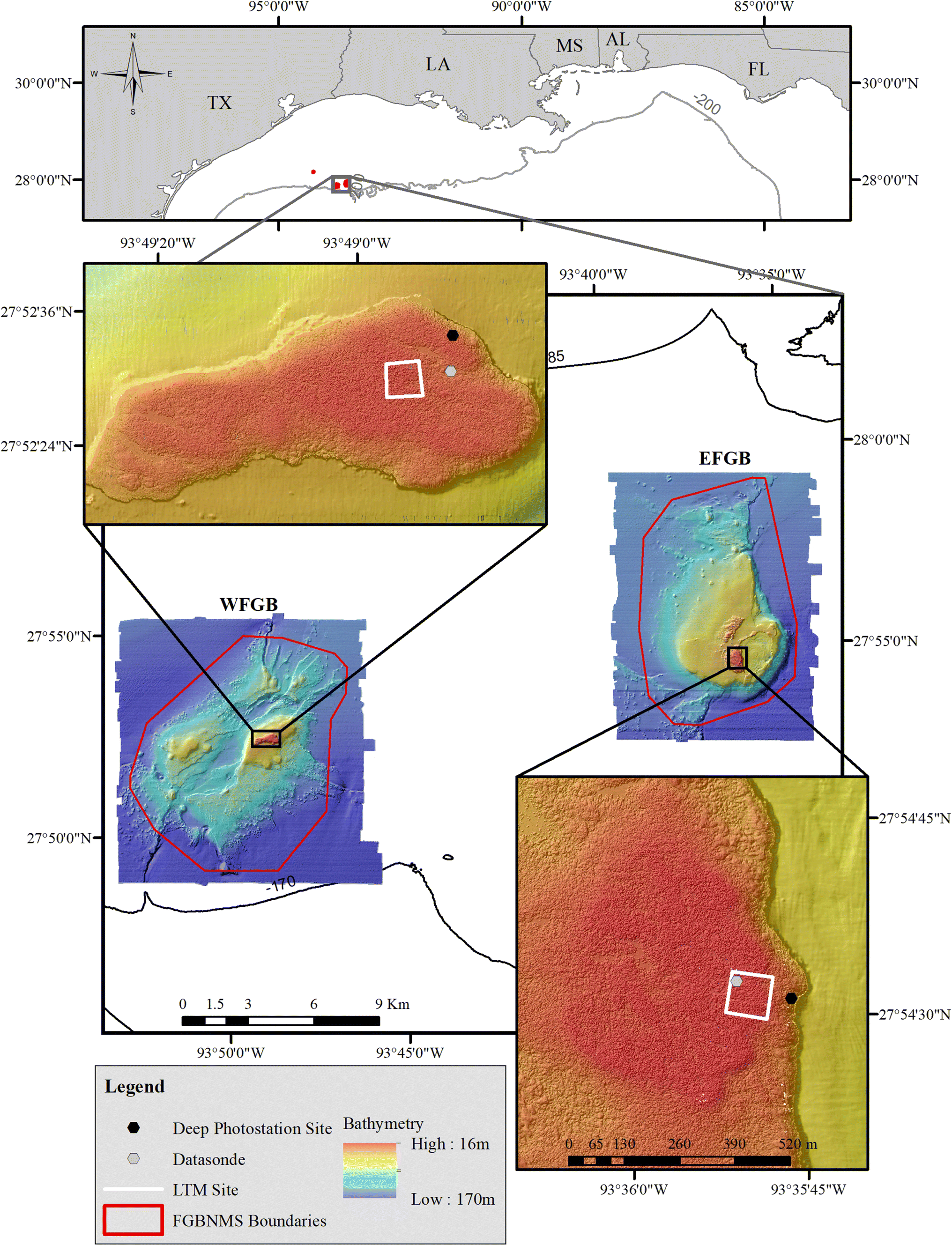 Figure 1 Coral Bleaching And Recovery From 2016 To 2017 At East