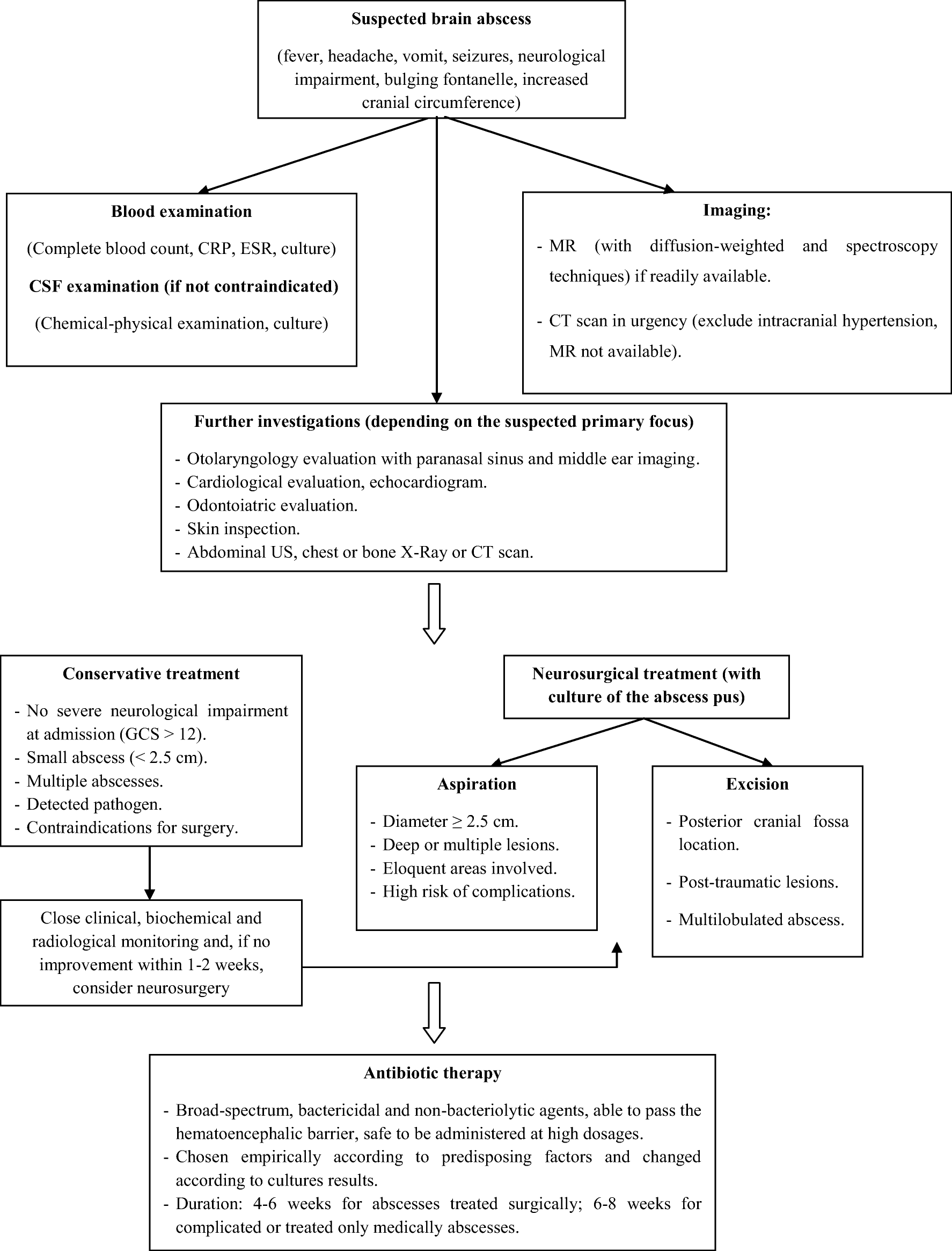 Figure 3 Brain Abscess In Pediatric Age A Review Springerlink Figure 3 Brain Abscess In Pediatric Age A Review Springerlink