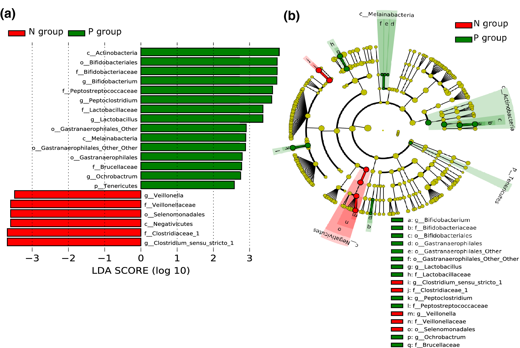 Figure 4 Effects Of A Formula With A Probiotic Bifidobacterium Lactis Supplement On The Gut Microbiota Of Low Birth Weight Infants Springerlink