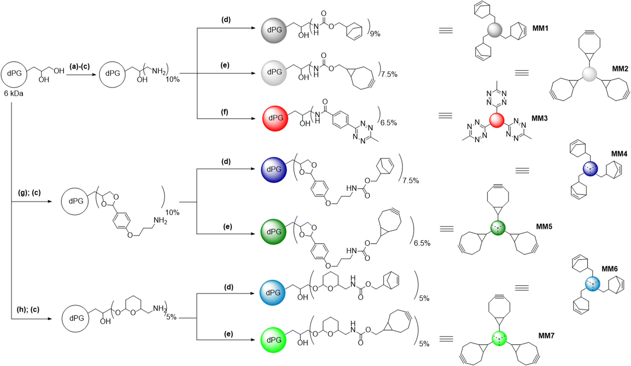 Scheme 1 Synthesis Of Ph Degradable Polyglycerol Based Nanogels By Iedda Mediated Crosslinking For Encapsulation Of Asparaginase Using Inverse Nanoprecipitation Springerlink