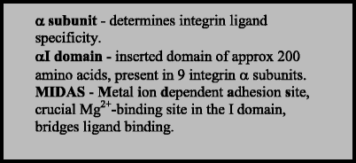 Integrin Cytoplasmic Tail Interactions