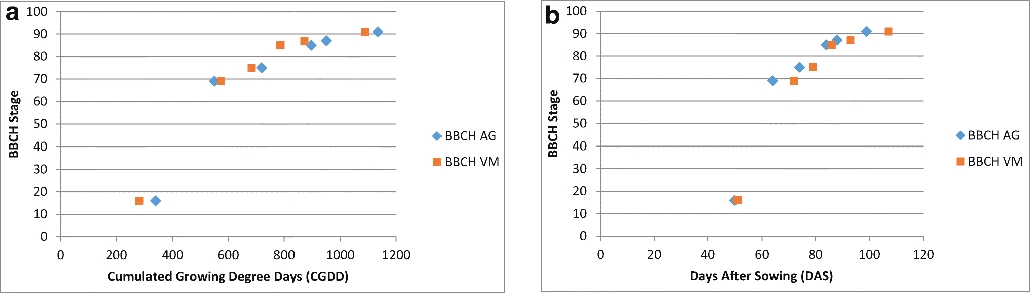 Figure 5 Phenological Stages Of Proso Millet Panicum Miliaceum L Encoded In Bbch Scale Springerlink