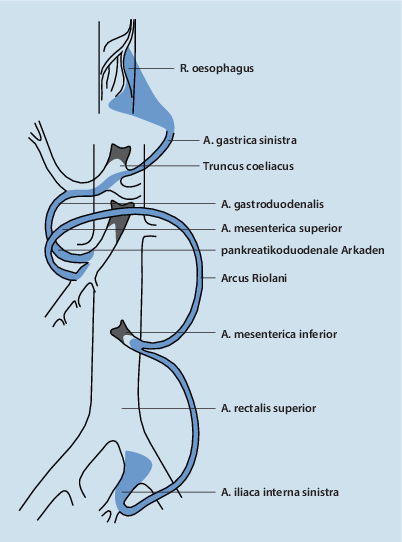 Figure 1 Akuter Mesenterialarterienverschluss Springerlink