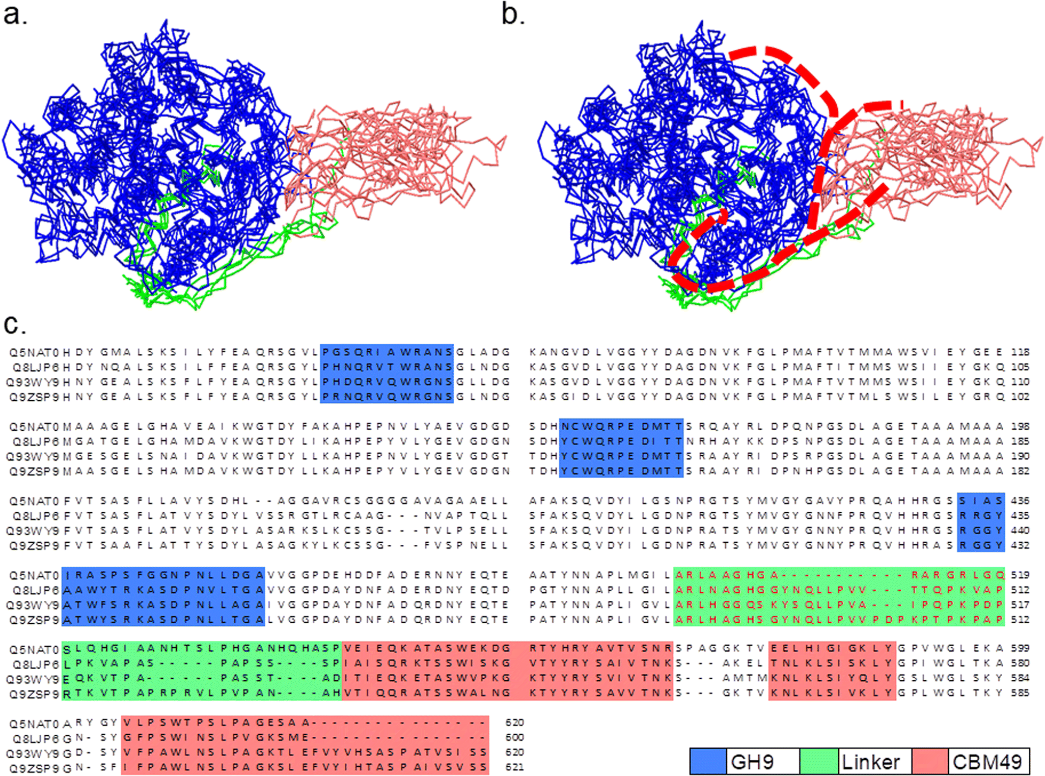 Figure 5 Insights Into The Mechanism S Of Digestion Of Crystalline Cellulose By Plant Class C Gh9 Endoglucanases Springerlink