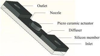 Fig. 19