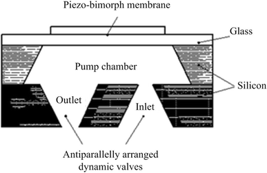 Fig. 5