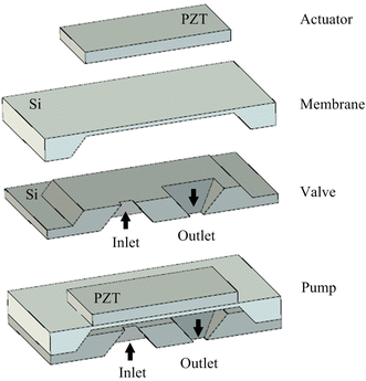 Fig. 8