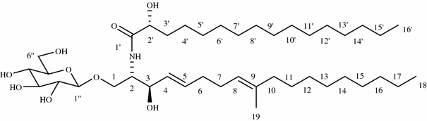 Fig. 1