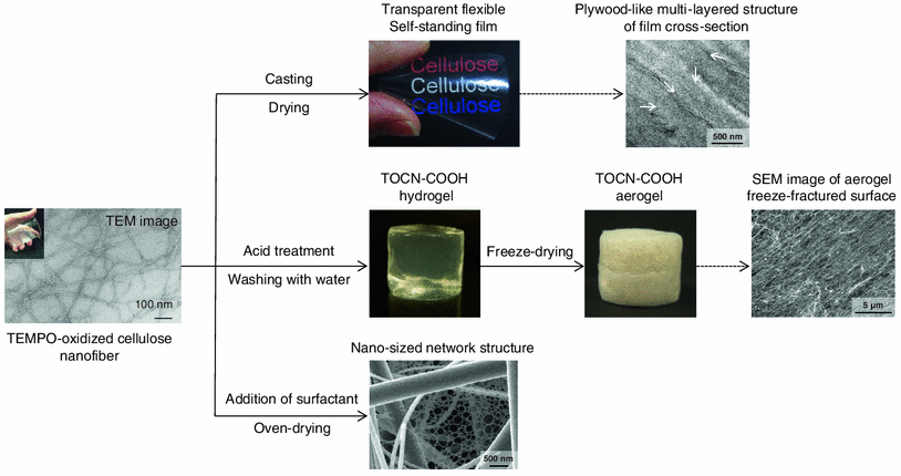 Fig. 4