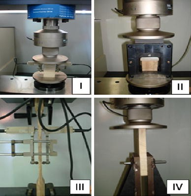 Fig. 2