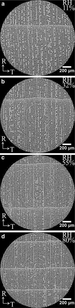 Fig. 6