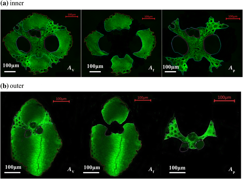 Fig. 3