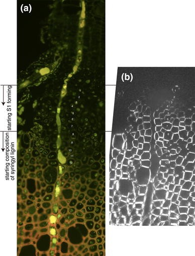 Fig. 9