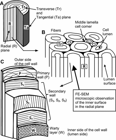 Fig. 1