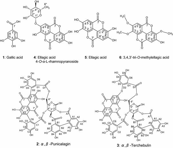 Fig. 1